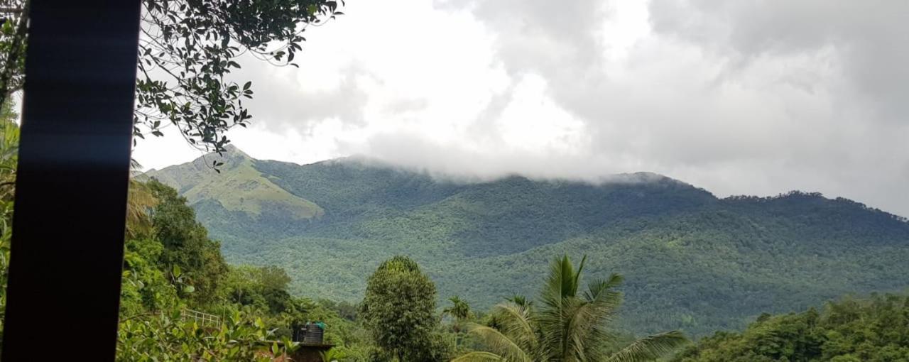 Wayanad Doubletree Villa Vythiri Zewnętrze zdjęcie