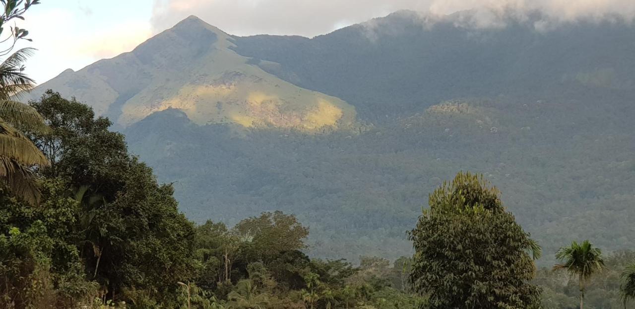 Wayanad Doubletree Villa Vythiri Zewnętrze zdjęcie
