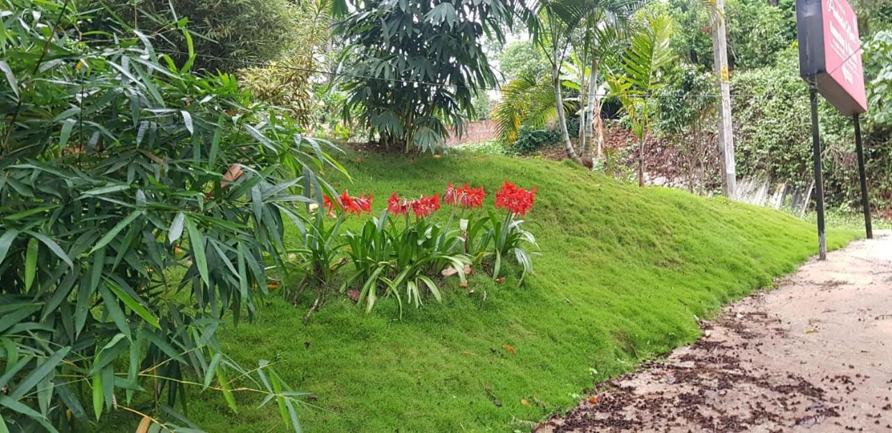 Wayanad Doubletree Villa Vythiri Zewnętrze zdjęcie