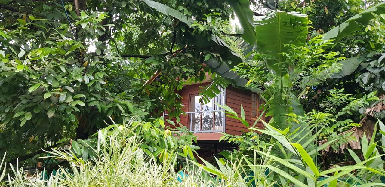 Wayanad Doubletree Villa Vythiri Zewnętrze zdjęcie