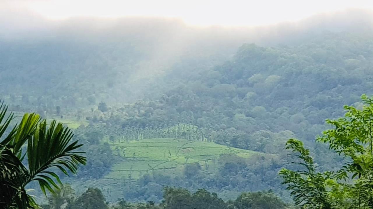 Wayanad Doubletree Villa Vythiri Zewnętrze zdjęcie