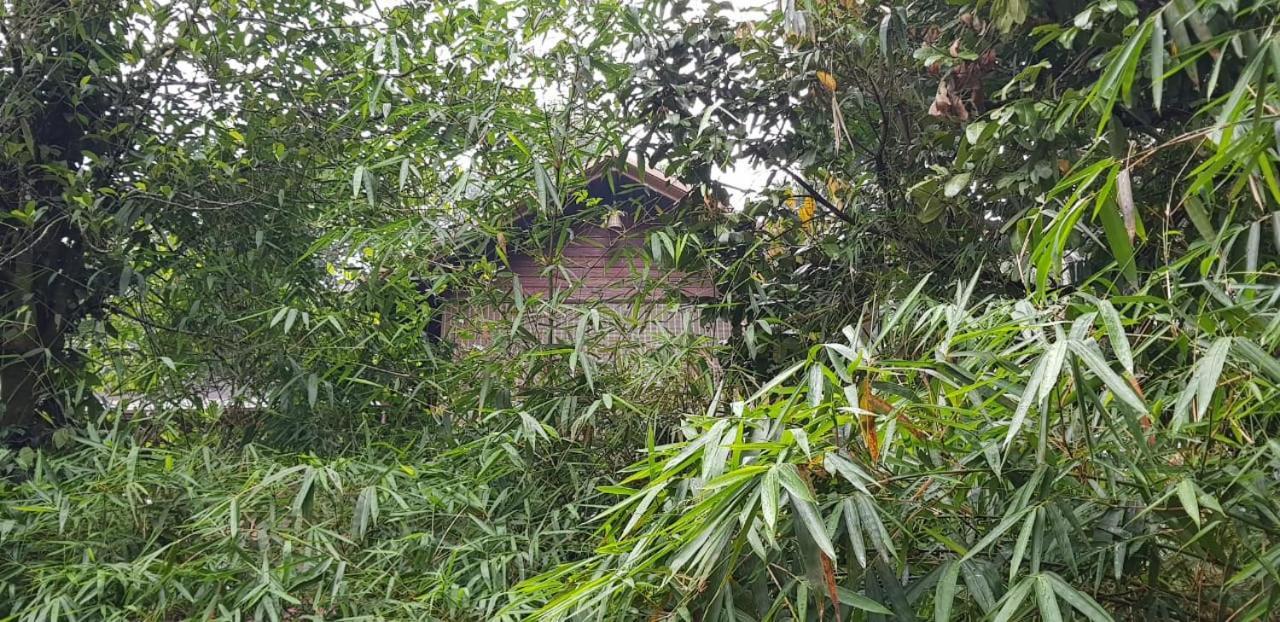 Wayanad Doubletree Villa Vythiri Zewnętrze zdjęcie