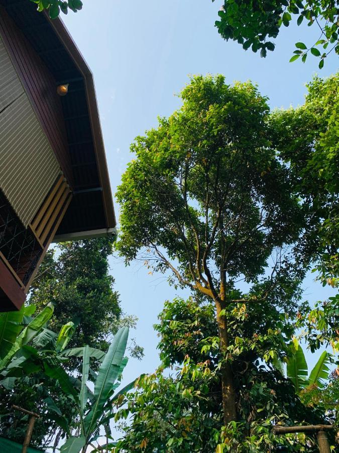 Wayanad Doubletree Villa Vythiri Zewnętrze zdjęcie