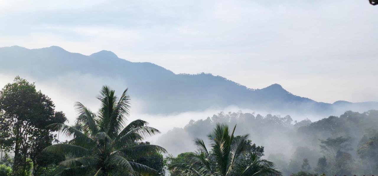 Wayanad Doubletree Villa Vythiri Zewnętrze zdjęcie
